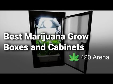 Best Marijuana Grow Boxes and Cabinets: Complete Reviews with Features & Details - 2019