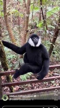 Dora and Teddy part -2