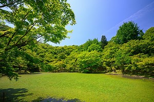 What Is 13-13-13 Fertilizer And When Should You Use It?