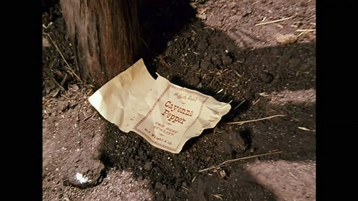 Celebrate National Chicken month by making your own Cinnamon Chicken like Laura made for Almanzo and Nelly's "date." Just be sure to skip Laura's "secret" ingredient! http://littlehouseontheprairie.com/little-house-on-the-prairie-cinnamon-chicken/ | Little House on the Prairie