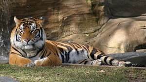 Built For The Kill 1x04 "Grassland"