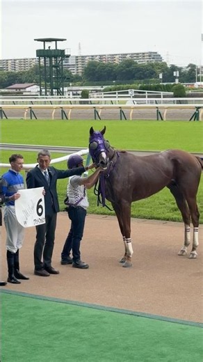 マイケル・ディー騎手 今期11勝目 クアッドフォルツァ