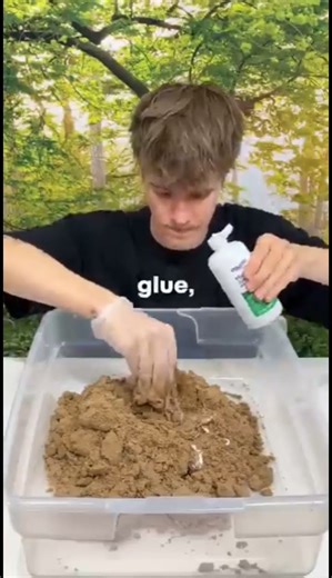 the world dumbest science experiment