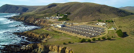 Cayucos Abalone Farm - Conservation Aquaculture - Creek Lands Conservation
