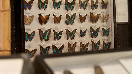 May Natural History Museum