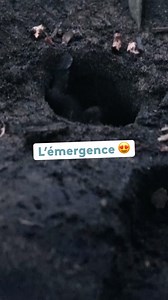 Le replay : https://www.france.tv/france-5/thalassa-aventures-extremes/7873788-mayotte-le-lagon-de-l-espoir.html | Thalassa