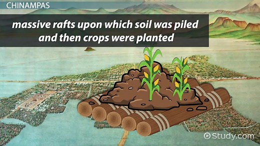 Aztec Chinampas | Farming & Irrigation System