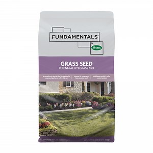 Fundamentals by Scotts Grass Seed Perennial Ryegrass Mix, 3 lbs.