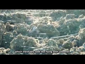 Chemtrails the secret war