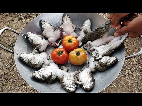Braised Frog with Tomato | Ginger Braised Frogs Recipe