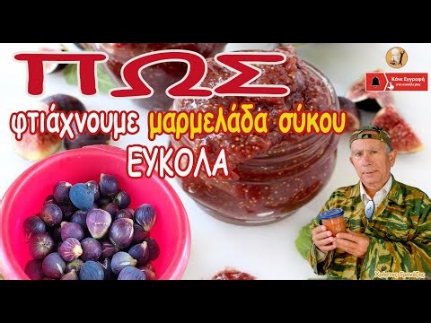 ΠΩΣ φτιάχνω πολύ εύκολα μαρμελάδα σύκο...
