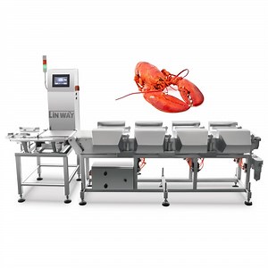[Hot Item] Lobster Weight Sorting Weight Checking Machine for Production Line