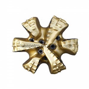 [Hot Item] 8-1/2" PDC Drill Bit with Tungsten Carbide Well Drilling