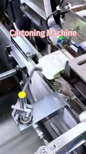 Cartoning Machine | Automatic Carton Packaging Solution
