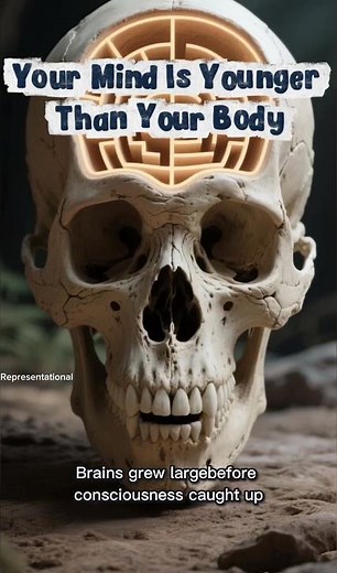 Why Your Brain Is Newer Than Your Body #evolution #mind #shorts