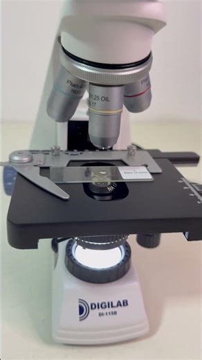 Microscópio Biológico DI-115 | Teste Real com as 4 Objetivas