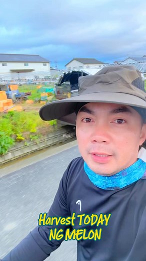 25K views · 719 reactions | GANAP KANINANG UMAGA NAMITAS NG MELON DITO SA BANSANG JAPAN  | Japan Farming Tambayan | Facebook