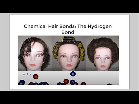 Chemical Hair Bonds: The Hydrogen Bond