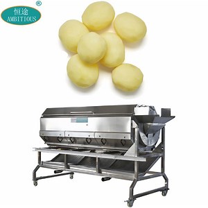 [Hot Item] Potato Peeling Skin Machine Screw Type Potato Peeling Machine