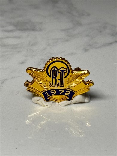 Vintage 1972 ORT Lapel Pin: Organization for Rehabilitation Through Training – Gold Tone Badge - Etsy