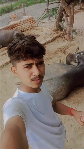 ham ko hami se chura lo ❤️❤️😂😂