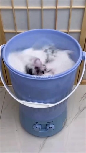 Mini Washing Machine 😍 #mini #washing #machine #shorts