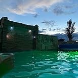 Solar Pool Lights, Solar Powered Submersible LED Lights with Remote IP68 Waterproof Swimming Pool Lighting, 16 Colors Underwater Pool Light for Above Ground Inground Pool, Pond (White,2 Pack)