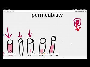 Practical Botany part 1 (Enzymes and proteins denaturation)-Plant physiology-B102