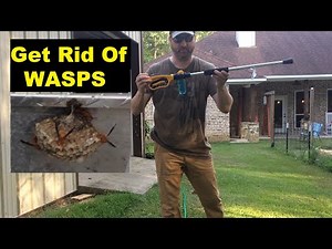 Never Buy WASP Spray again - Eliminate WASP Nests Fast