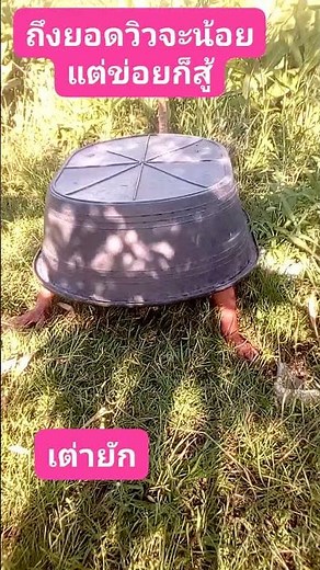 เต่ายัก #dothingsyoudontwanttodo #amusementpark #watchnow #food #realwaystomakemoneyfromhome #funny