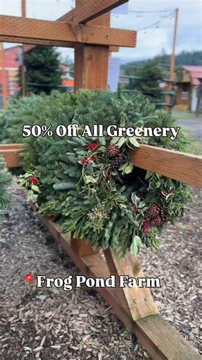 📢 BREAKING NEWS ✨ 🎄 50% OFF all fresh greenery now through Sunday, December 21st Because your house deserves to smell like Christmas! | Frog Pond Farm