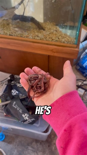 CRAZY Pet BASS Aquarium SETUP! | Vincefishing