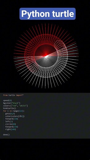 Python turtle for beginner / python tutorial #shorts #coding #python #programming