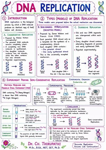DNA Replication Explained 🧬 | Leading & Lagging Strand | DNA Polymerase | CSIR NET Life Science#neet