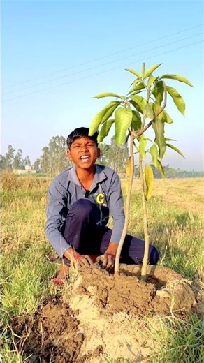 Mere bag se paise kisne liye 🤔#food #shorts #vlog #plants