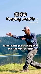 Praying Mantis 🏔️😃 🌳#jianfengchentaichi #oregontaichiwushu #wushu #kungfu #kungfumaster #shaolinkungfu #taichi #martialarts #shaolin #taolu #武术 #太极 #功夫 #wushulife #wushufamily #taiji #taijiquan | Oregon Tai Chi Wushu