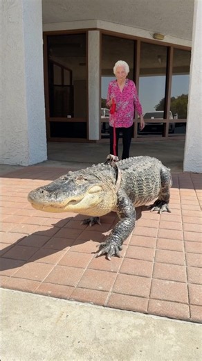 Granny Mistakes Her Dog For An Alligator! 😱🐊