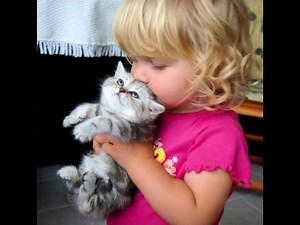Little girl getting a surprise with a cute kitten for Christmas!