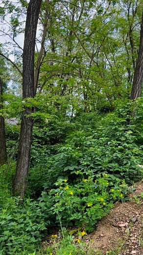 4.3K views · 47 reactions | American Liberator History on Reels | Facebook