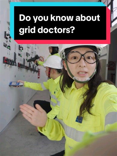 Understanding the Role of Grid Doctors in Electricity