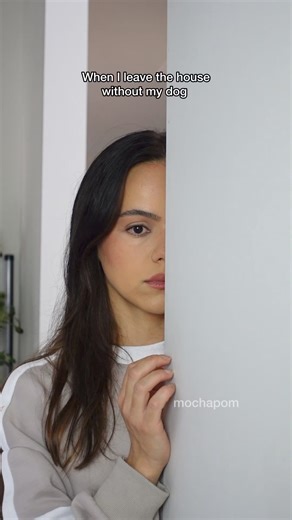 367K views · 10K reactions | Help!  #pomeranian #dog #fluffydog #dogreels | Mocha Pom | Facebook