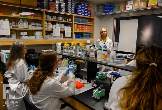 K-12 Teacher and Classroom Programs