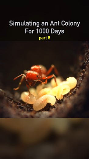 Dr. Plants on Instagram: "Simulating an Ant Colony For 1000 Days pt 8 🐜 #ecosystem #wildlife #nature #plants #earth #pets #petsofinstagram"