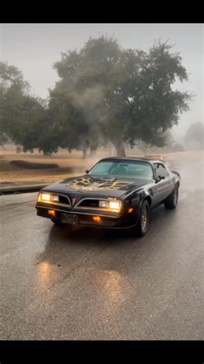 Pontiac firebird trans am 1977 #pontiac#pontiacfirebird#pontiacfirebirdtransam#pontiactransam