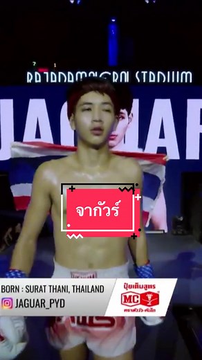 นักมวยจากัวร์และยูนิส คู่เดือดแห่งเวทีเพชรยินดี