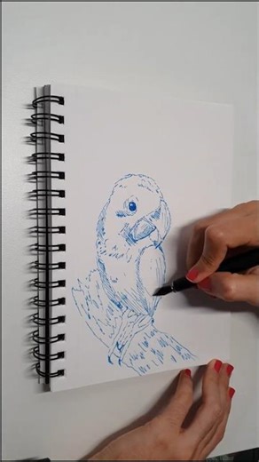 Simple Pen Sketch: A Macaw #inkdrawing #drawing #birds #art