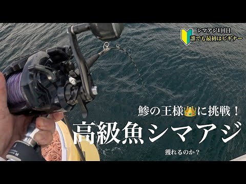 🔰誰でも最初はビギナー【初挑戦シマアジ釣り】鯵の王様・強烈な引きの高級魚を釣り上げることができるのか？ #シマアジ #船釣り #釣り