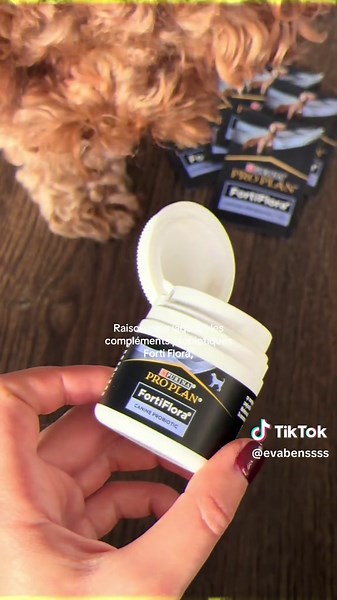 j’ai mon Kombucha, Suzette a son Forti Flora ! #fortiflora #proplan #LikeAPro publicité