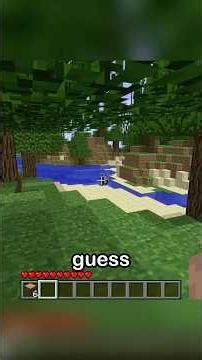 Minecraft, but taking damage changes the game version