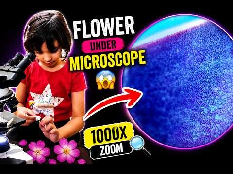 Flower under microscope – hidden cells revealed!#science #trending #microscope #viral #shorts #food